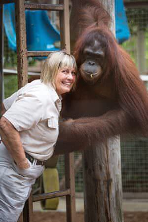 Jungle Island_Orangutan mama Linda Jacobs
