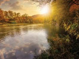 bigstock Forest River In Autumn Mountai 204116935