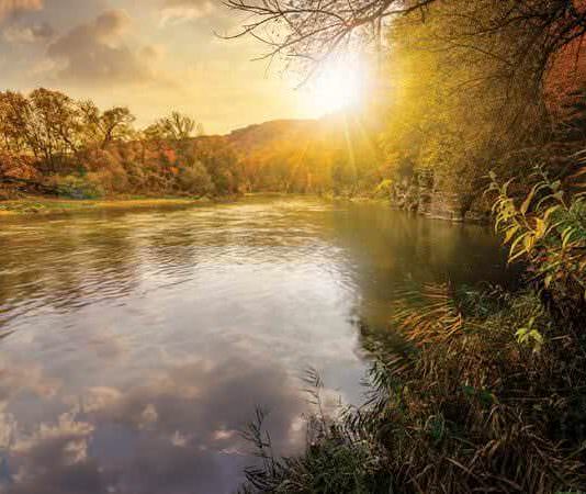bigstock Forest River In Autumn Mountai 204116935