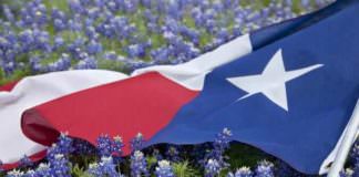 texas flag in field of bluebonnets PCBTDMM
