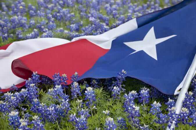 texas flag in field of bluebonnets PCBTDMM