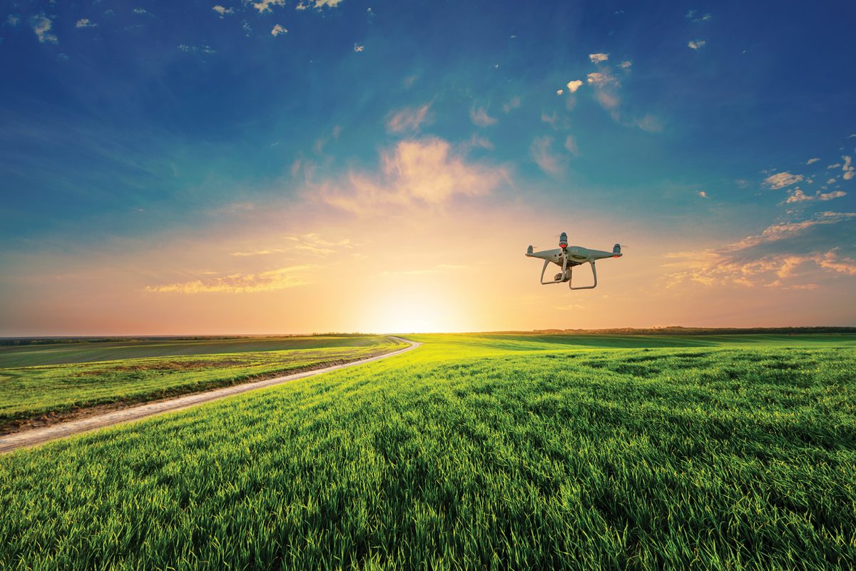 Innovation in Agriculture: Why is it so slow? AdobeStock 203172701 1200x800