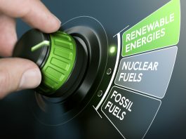 Nuclear Power Plants - A Matter of National Security
