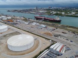 Oil prices fell back temporarily Wednesday afternoon after OPEC released its latest outlook for 2020 average crude demand.
