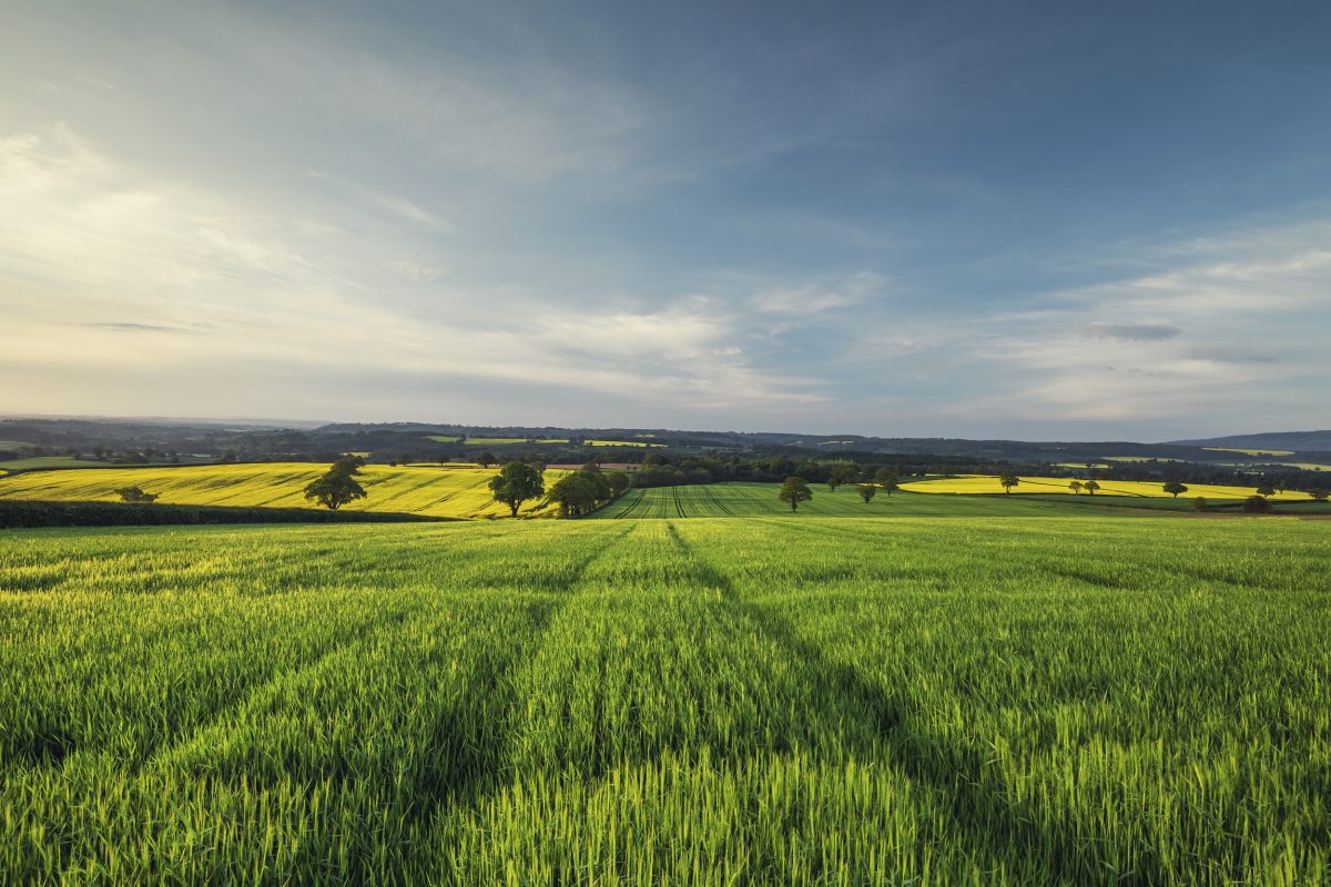 Green Chemistry: An Alternative