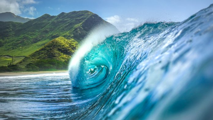 National Ocean Month: 6 Things You Don’t Know About the Ocean