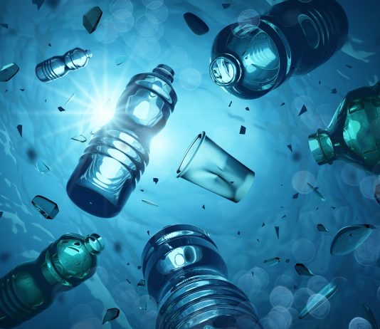 Plastic Waste in our Oceans: A Problem that Won’t Float Away