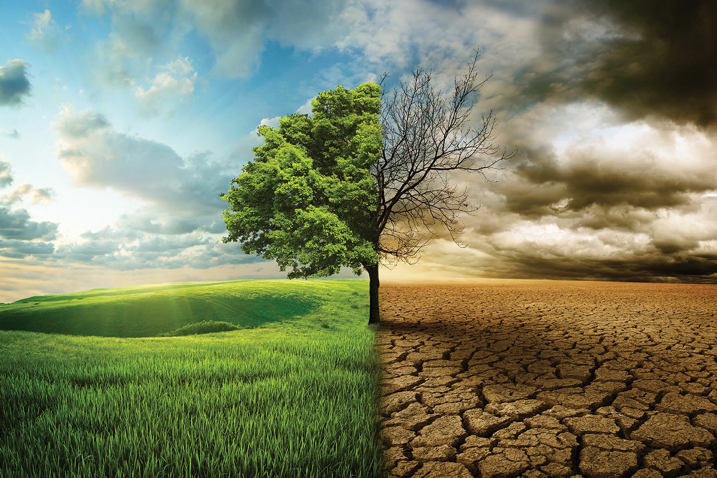 climate