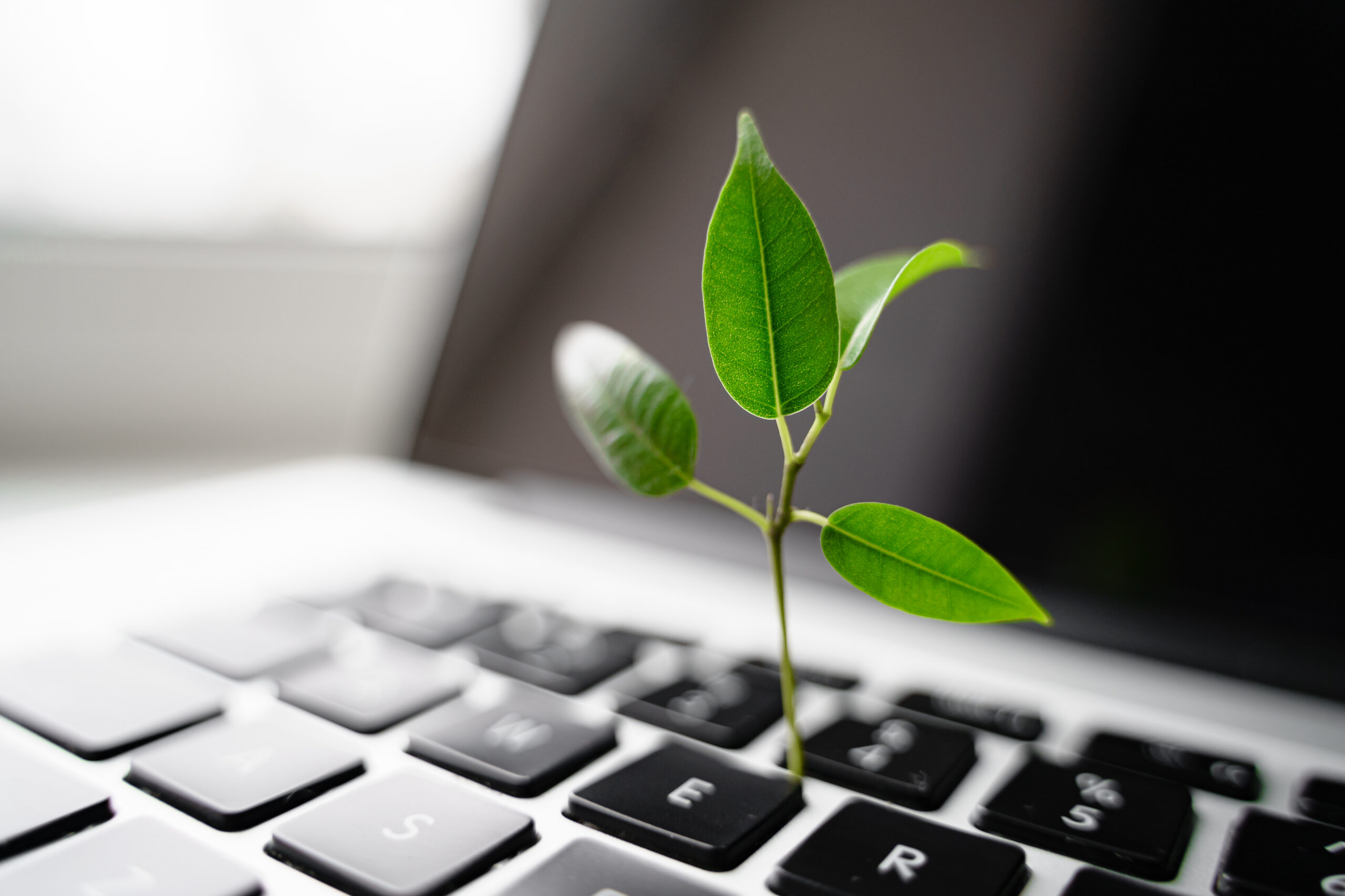 Sustainability Across Industries: 8 Things You Should Know AdobeStock 427756353 Scaled