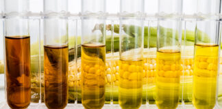 what is biofuel?