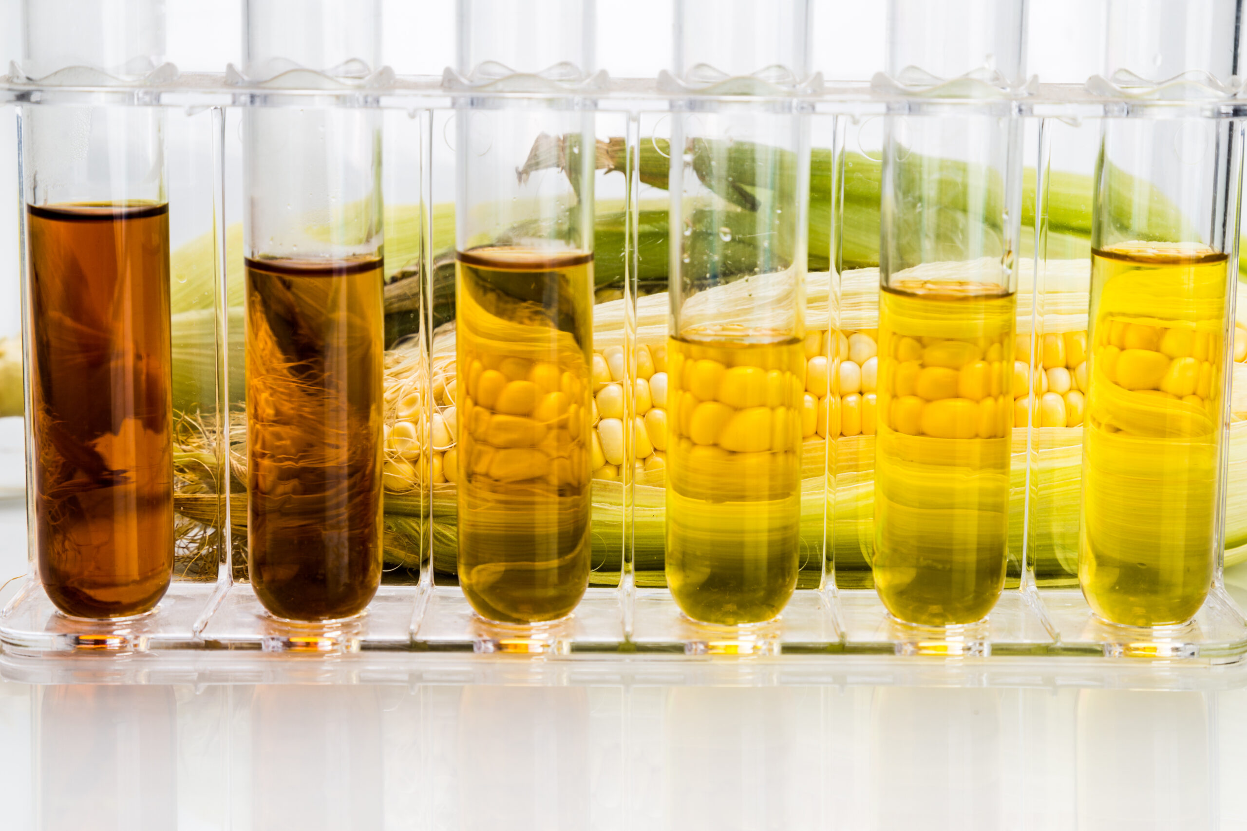 what is biofuel?