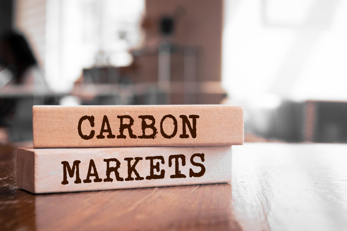 The Future of Carbon Markets the future of carbon markets