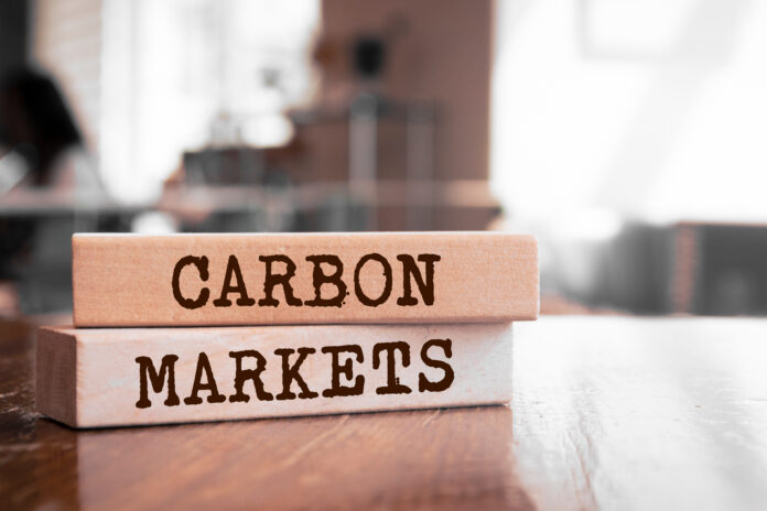 the future of carbon markets