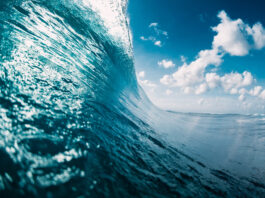 Climate change and the risk of global warming