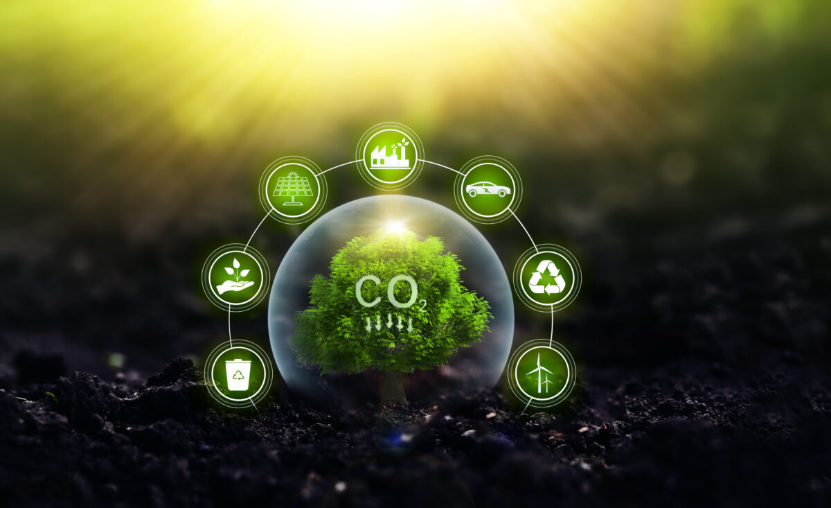 Carbon Intensity Vs Colors