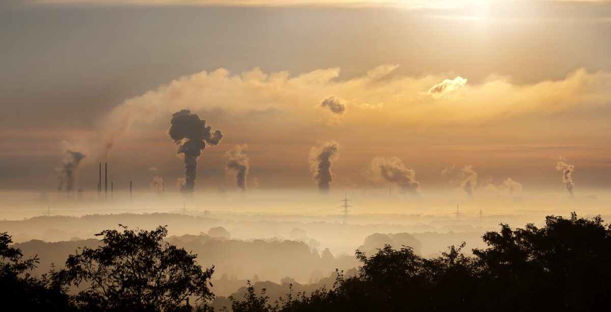 IEA Says Carbon Capture May Not Be Best Climate Change Solution smoke plumes over a misty forest for an article about how effective is carbon capture