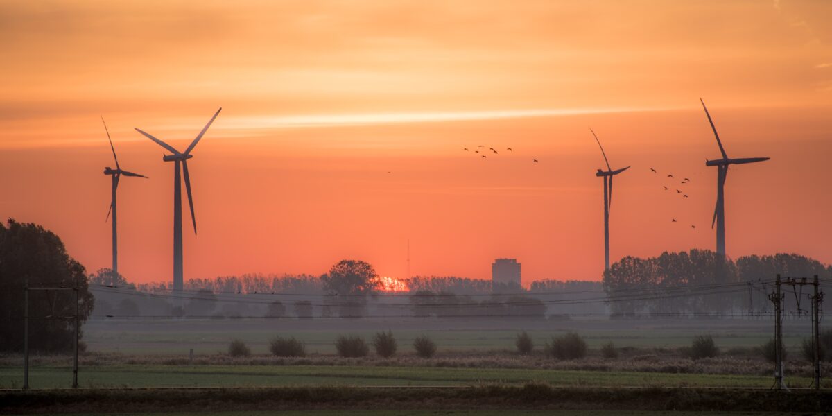 U.S. Wind Energy Industry Has Its Ups and Downs wind energy