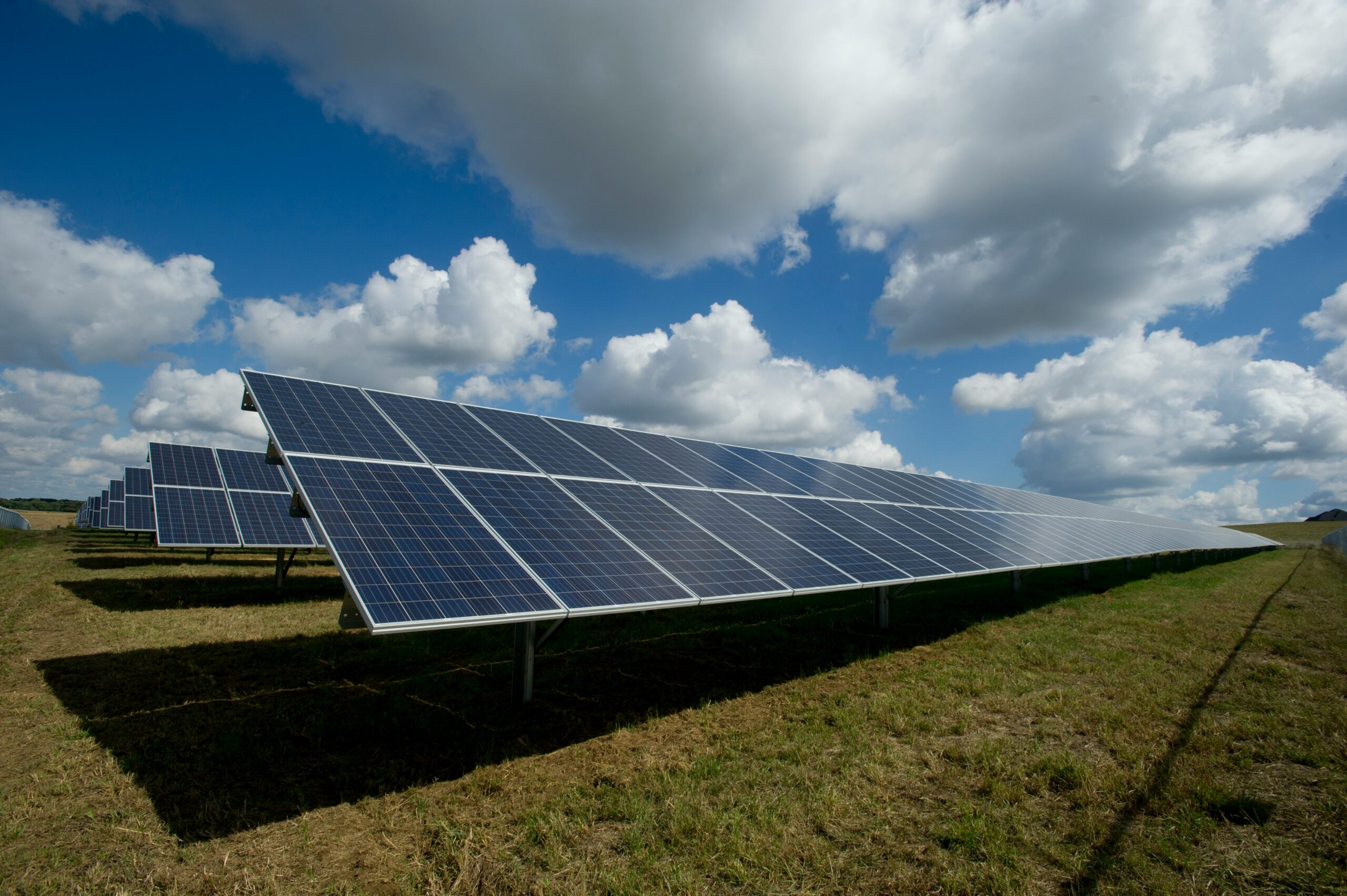 solar panel farm