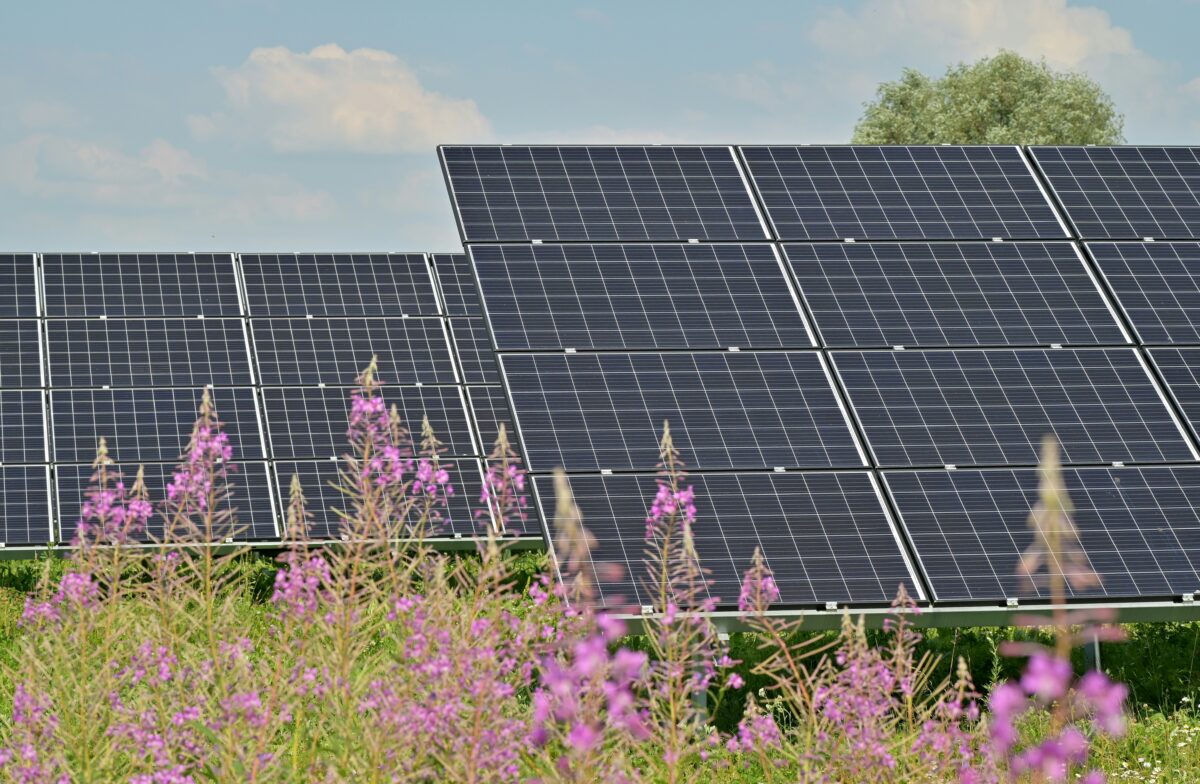 Texas Solar Transformation Texas Solar