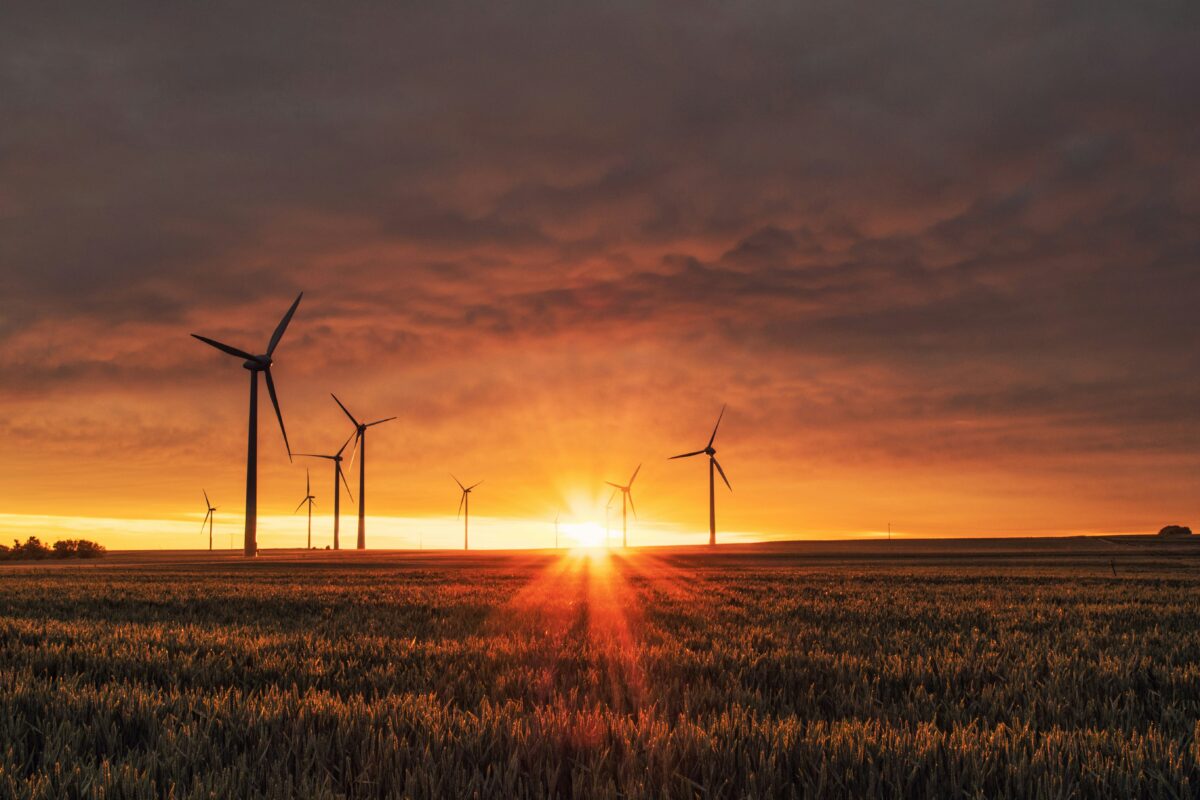 2024 World Energy Review: Record Fossil Fuel and Renewable Growth renewable energy