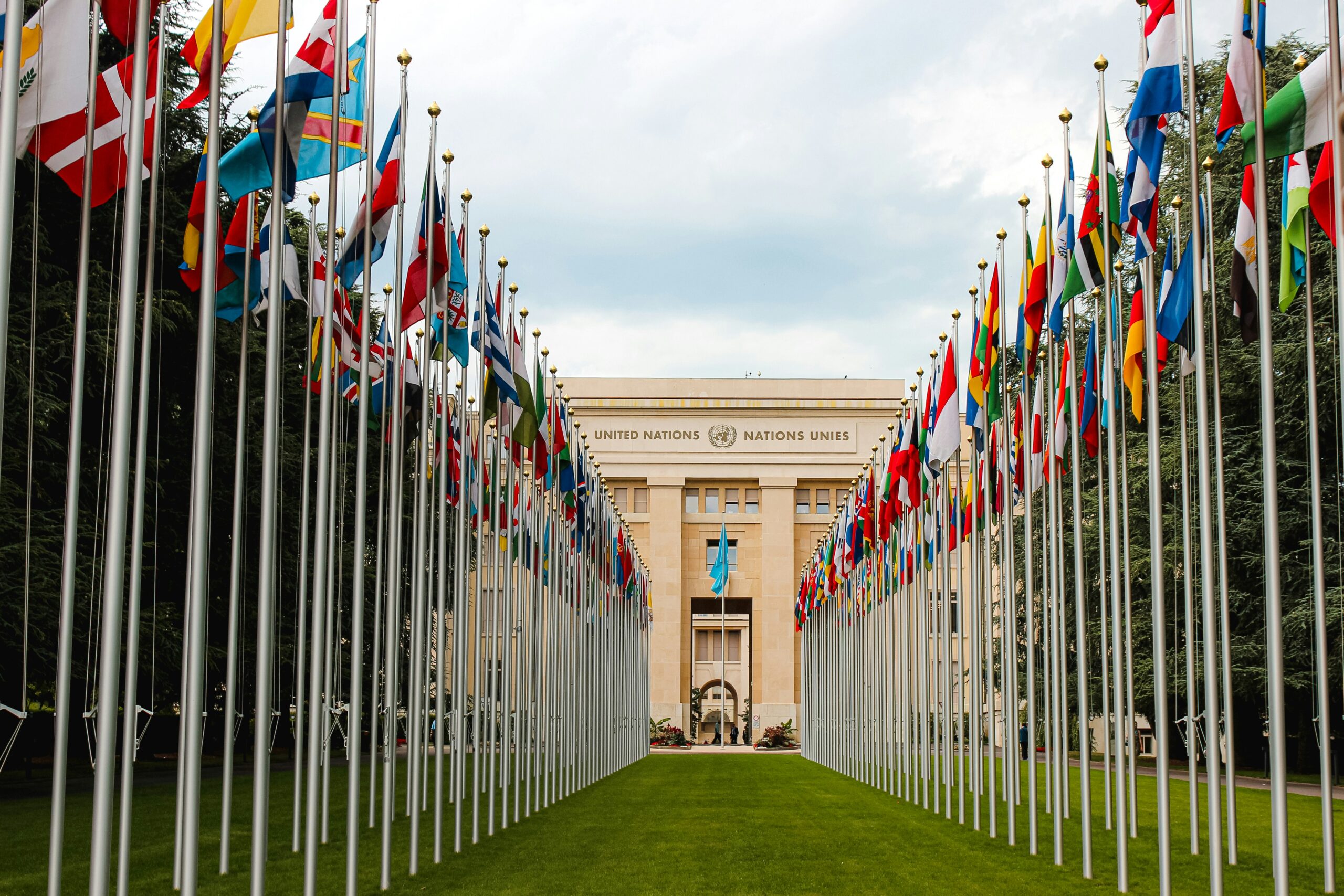United Nations COP29