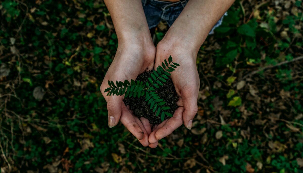 biofuel