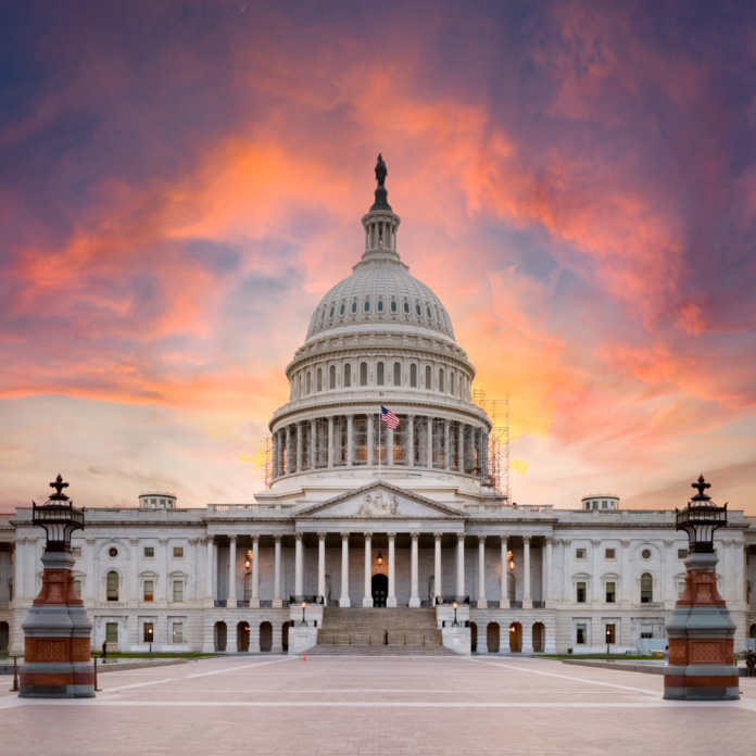 Trump's energy appointees