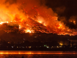 california wildfires
