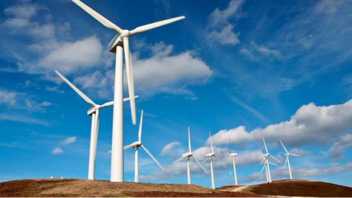 Trump offshore wind policy