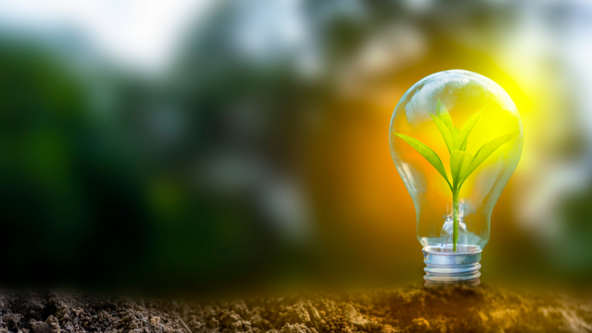 clean energy growth 2024