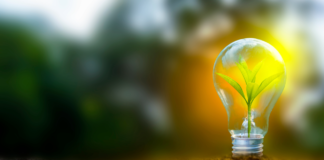 clean energy growth 2024