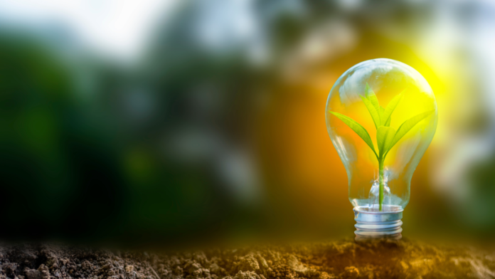 clean energy growth 2024