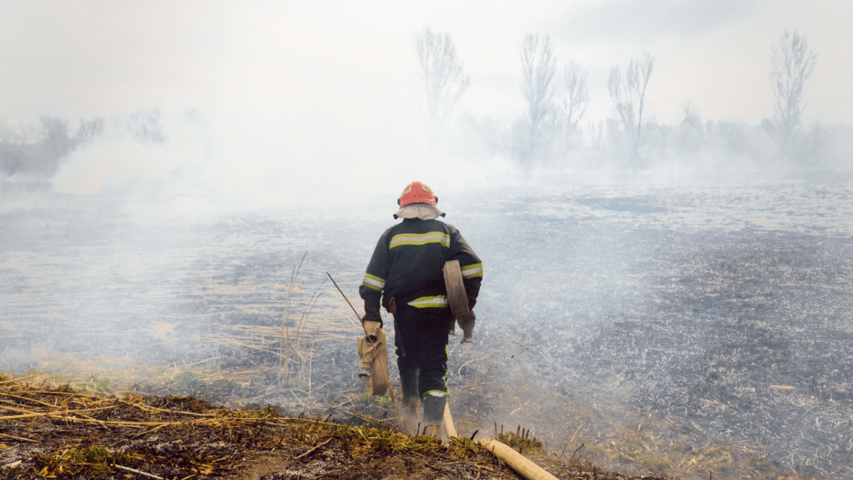 How the U.S. Wildfire Threat Is Growing Amid Climate and Policy Shifts U.S. wildfire threat