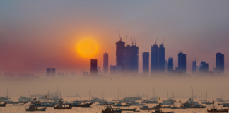 India biomass hydrogen future