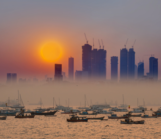 India biomass hydrogen future